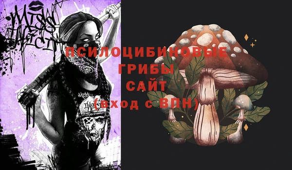 экстази Богородицк