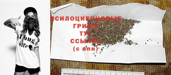 экстази Богородицк