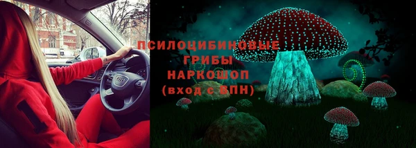экстази Богородицк