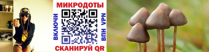 Псилоцибиновые грибы ЛСД  гидра   Козельск 